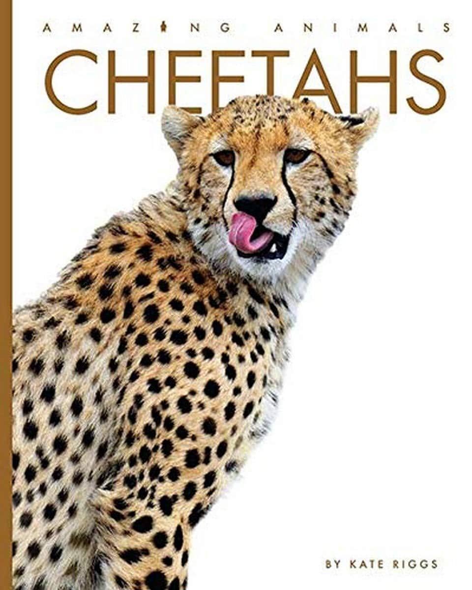 Cheetahs (Amazing Animals) Animals Kate Riggs