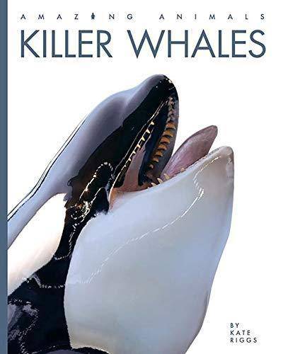 Killer Whales Animals Kate Riggs