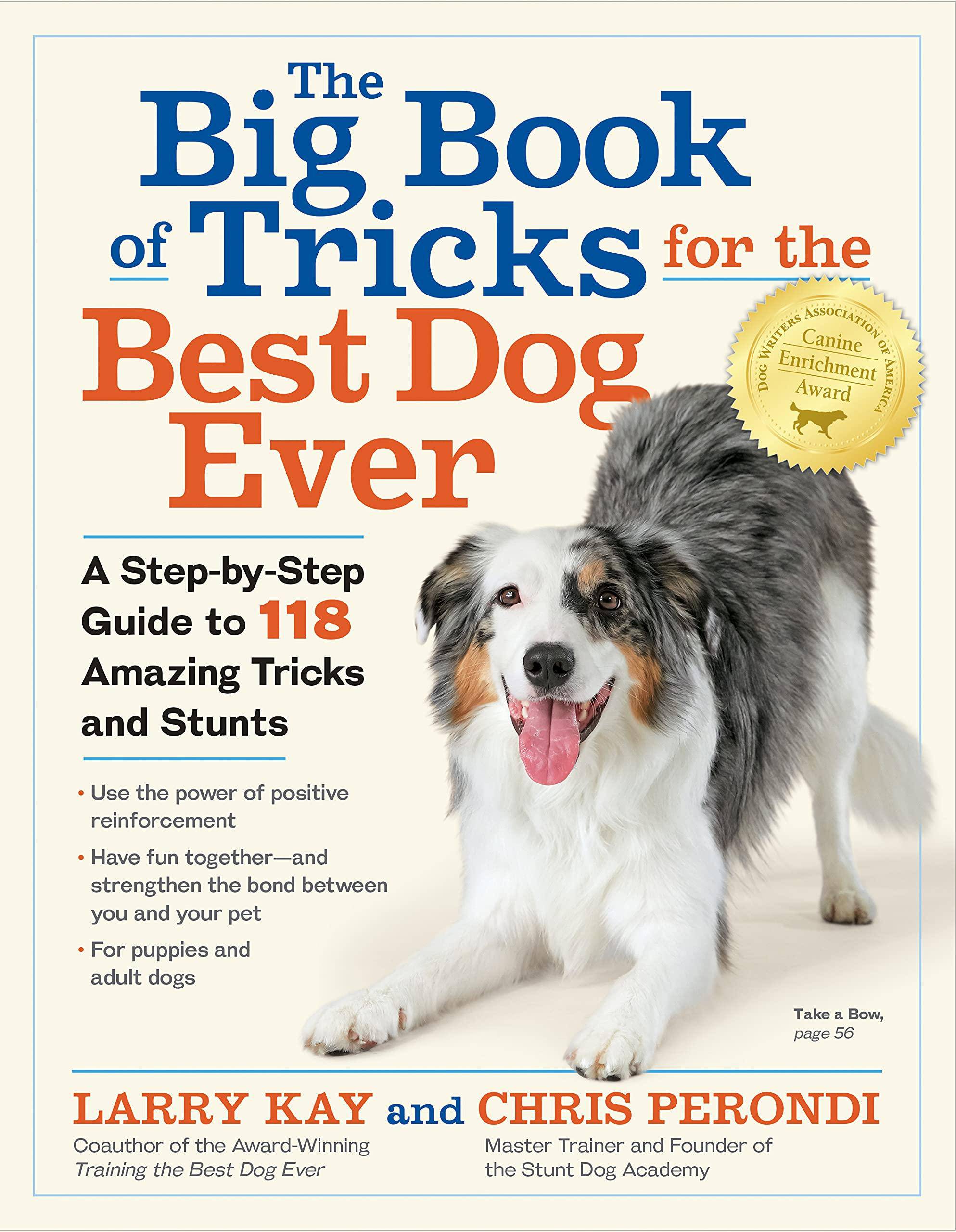 The Big Book of Tricks for the Best Dog Ever: A Step-By-Step Guide to 118 Amazing Tricks and Stunts Pets & Animal Care Larry Kay | Chris Perondi