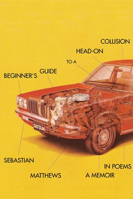 Paperback of "Beginner's Guide to a Head-On Collision" by Red Hen Press, showing the book cover with title and author details.