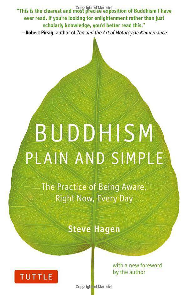 Buddhism Plain and Simple: The Practice of Being Aware Right Now, Every Day Religion & Spirituality Steve Hagen