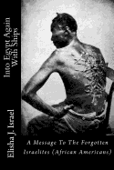 Into Egypt Again With Ships: A Message To The Forgotten Israelites sureshotbooks.com