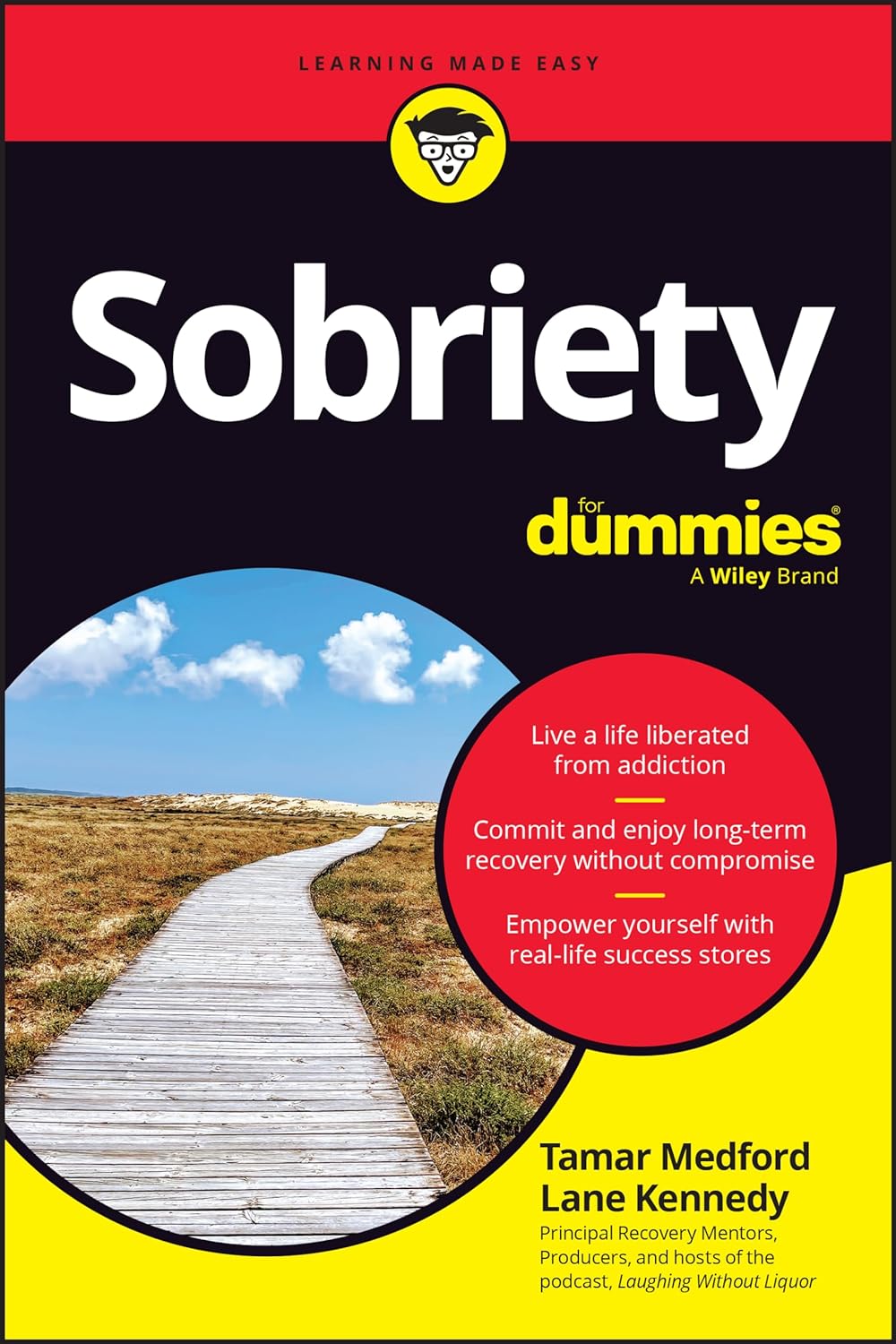 Sobriety for Dummies (1ST ed.) - SureShot Books Publishing LLC