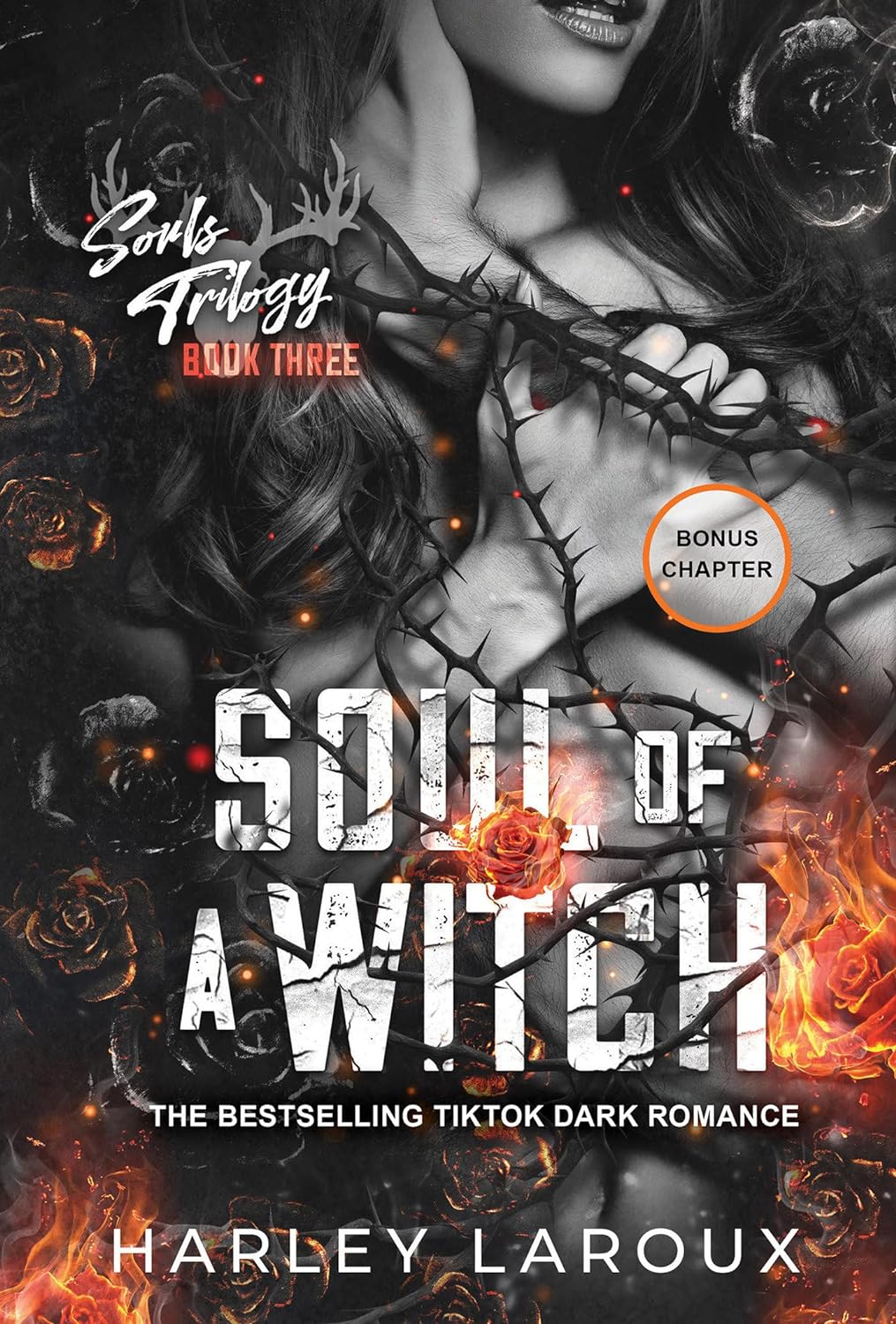 Soul of a Witch: A Spicy Dark Demon Romance (Souls Trilogy) - SureShot Books Publishing LLC