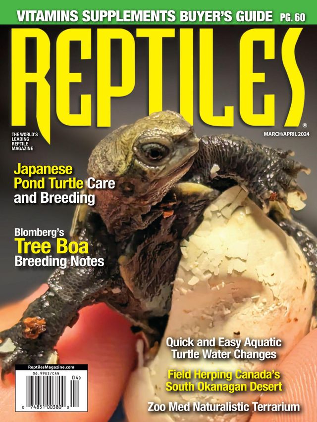 Reptiles Magazine - SureShot Books Publishing LLC