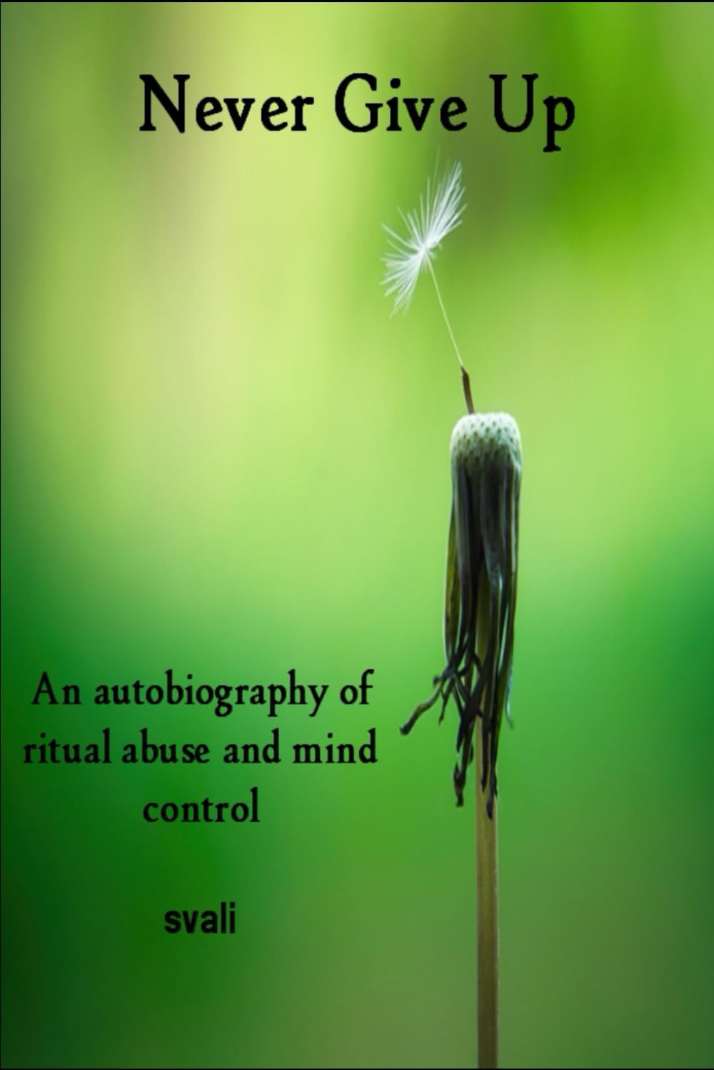 Never Give Up autobiography book by SureShot Books Publishing LLC, cover of a ritual abuse and mind control survivor memoir