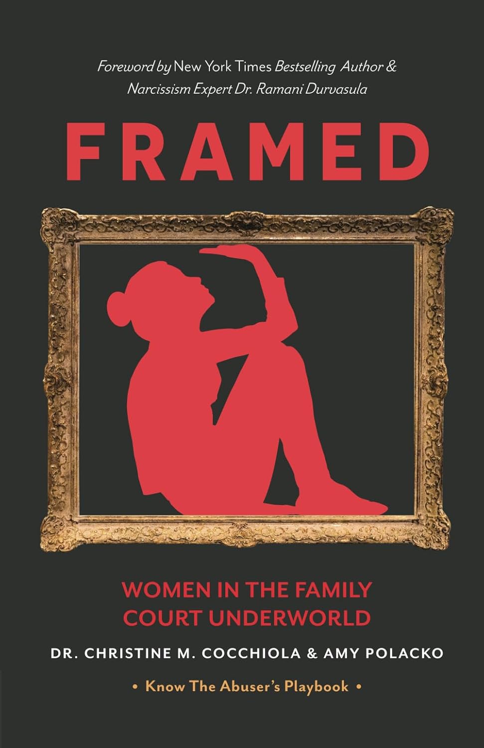 Framed: Women in the Family Court Underworld Narc Free Press