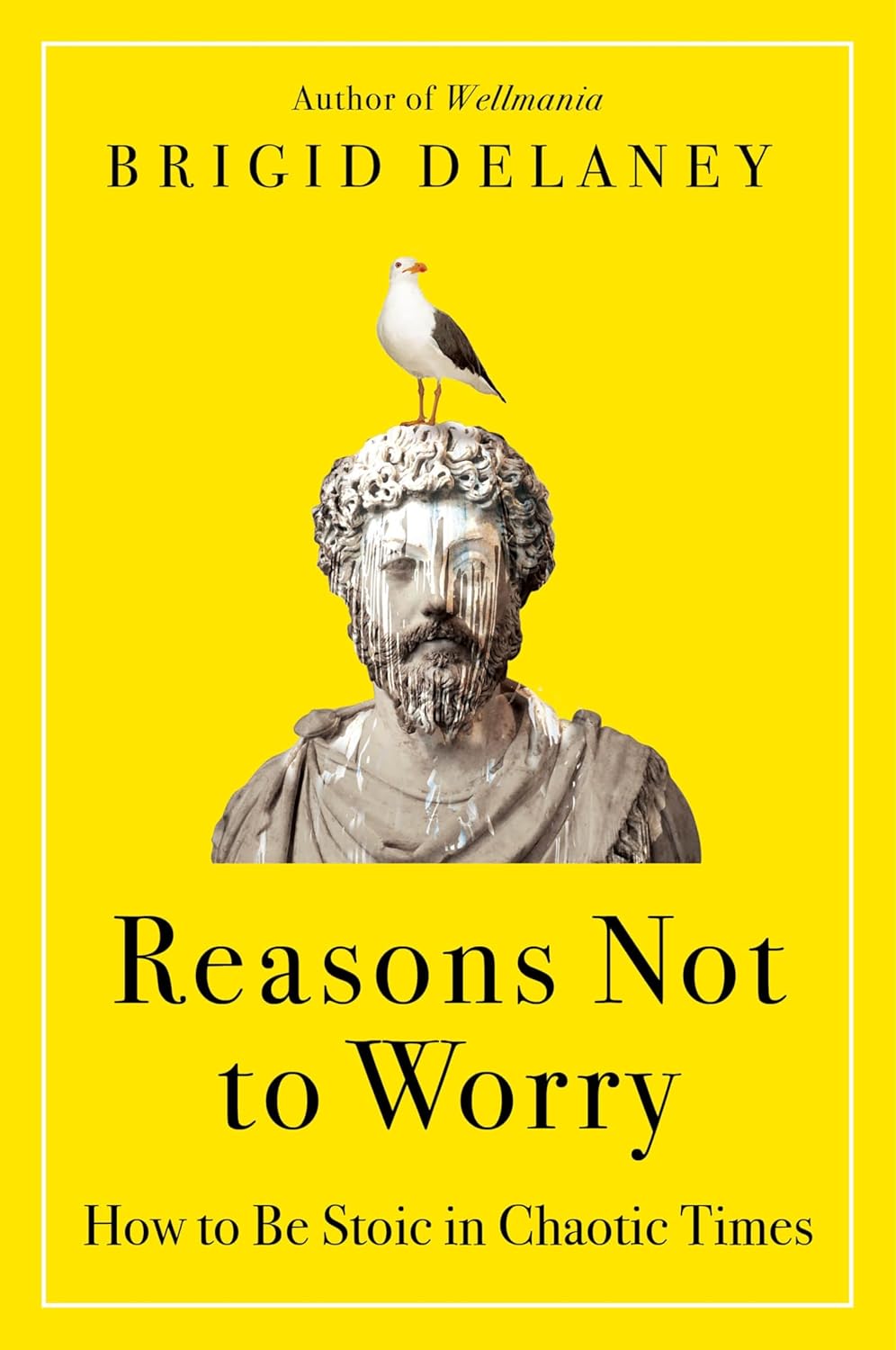 Reasons Not to Worry: How to Be Stoic in Chaotic Times: A Practical Guide to Stoicism for Self-Improvement and Personal Growth