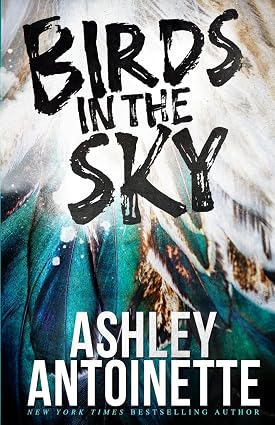 Birds in the Sky (Ashley Antoinette's Book Box Series (Demi & Charlie))