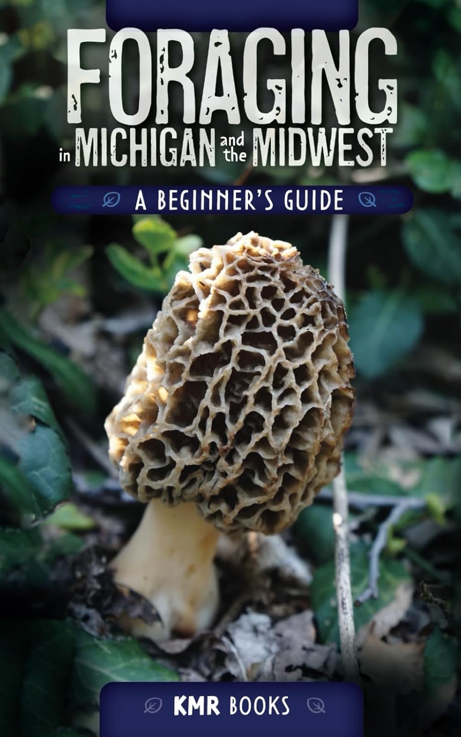 Foraging in Michigan and the Midwest: A Beginner's Guide