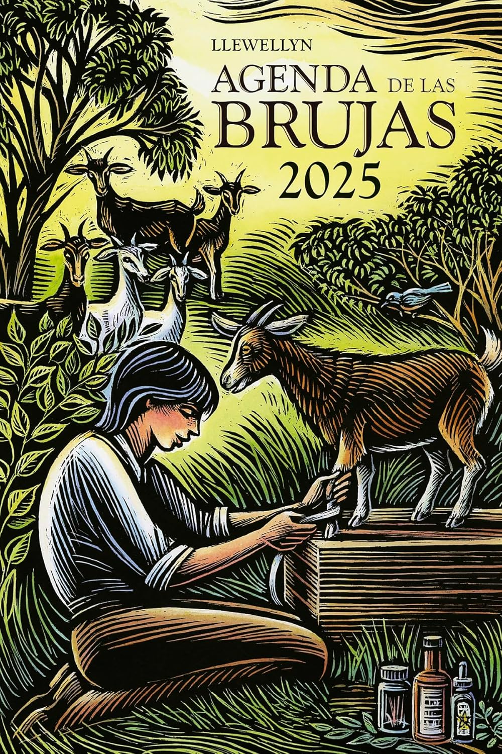 Agenda de las Brujas 2025 (Spanish Edition)