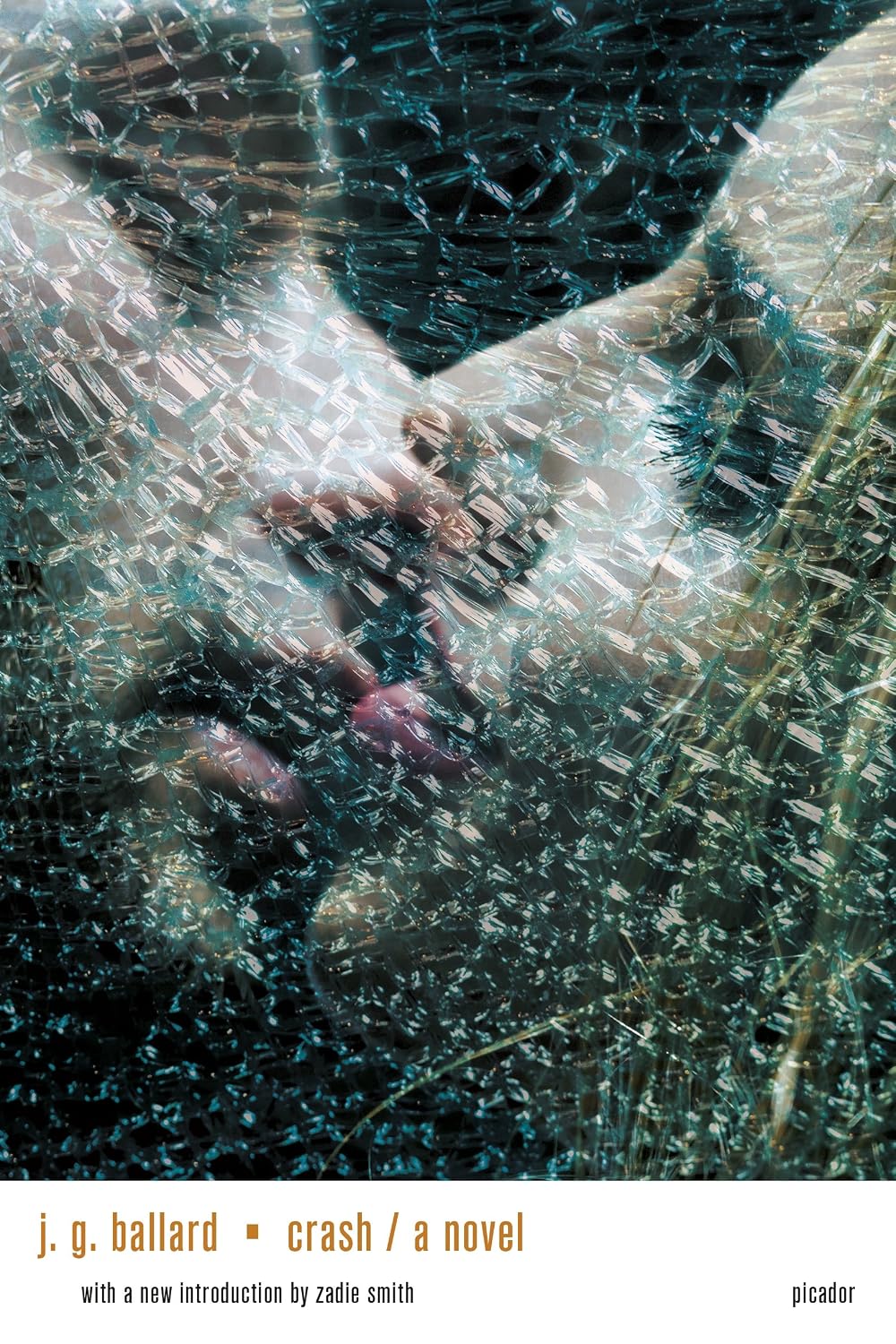 Close-up of the book "Crash" by SureShot Books Publishing LLC with a dark cover and bold title text.