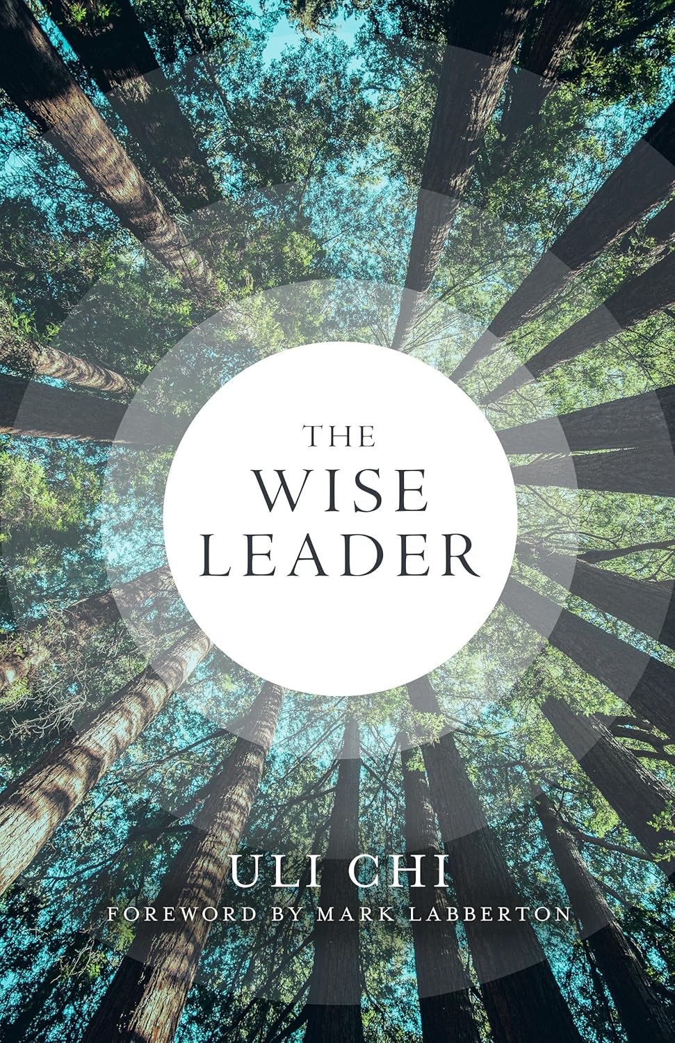 The Wise Leader Eerdmans