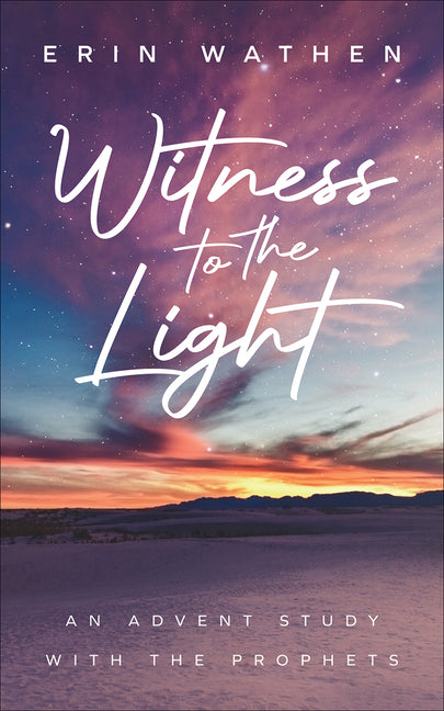 Paperback copy of "Witness to the Light" by Westminster John Knox Press, showing the book cover with title and design.