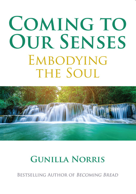 Paperback book titled "Coming to Our Senses: Embodying the Soul" by Paulist Press, featuring a cover with artistic imagery.