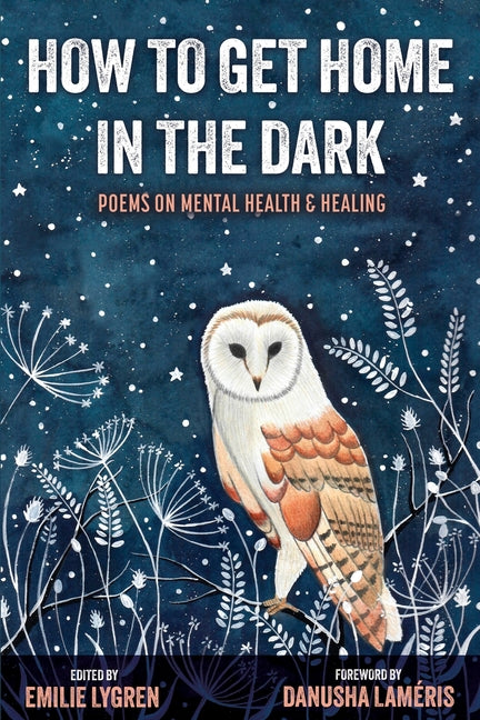 Paperback of "How to Get Home in the Dark" by Blue Light Press, showing the book cover with dark and atmospheric artwork.