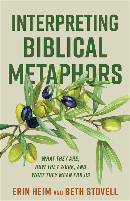 Paperback book cover titled "Interpreting Biblical Metaphors" by Baker Academic, featuring a biblical illustration and text.