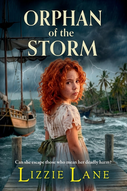 Paperback of Orphan of the Storm by Boldwood Books Ltd, showing the book cover with stormy sky and title text.