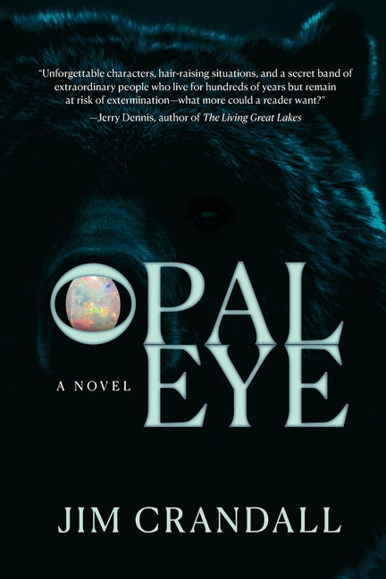 Paperback "Opal Eye" by Mission Point Press, featuring a book cover with colorful artwork and title text.