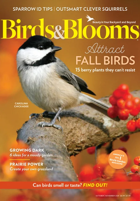 BIRDS & BLOOMS MAGAZINE