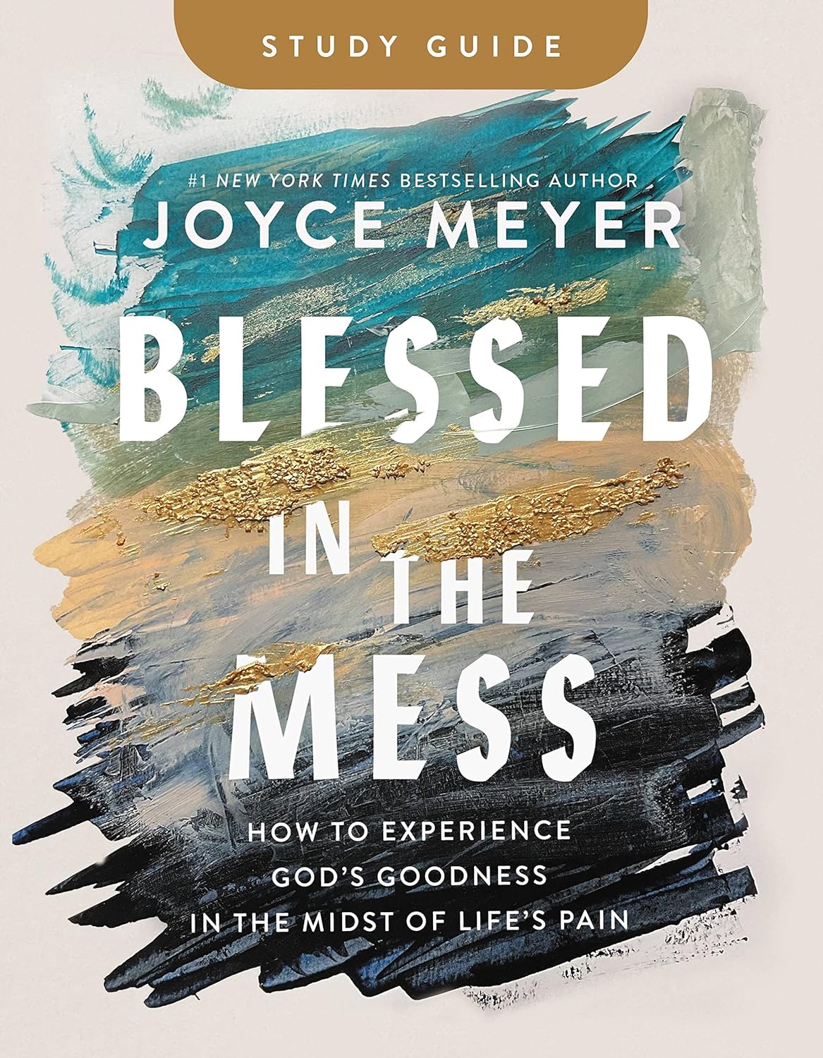 Blessed in the Mess Study Guide How to Experience God's Goodness in the Midst of Life's Pain - SureShot Books Publishing LLC