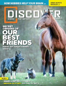 Discover Magazine