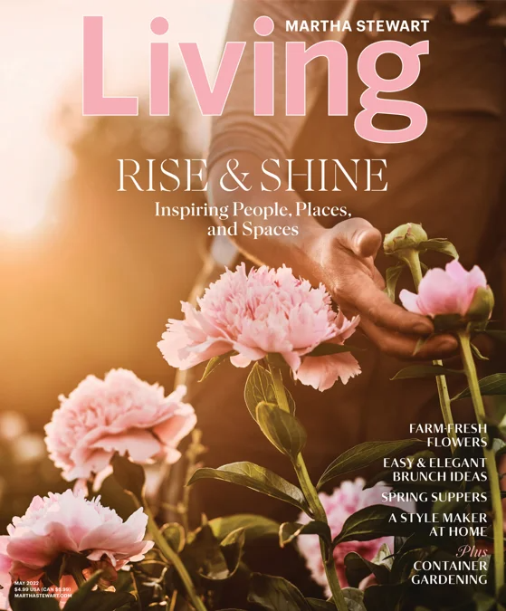 Martha Stewart Living Magazine