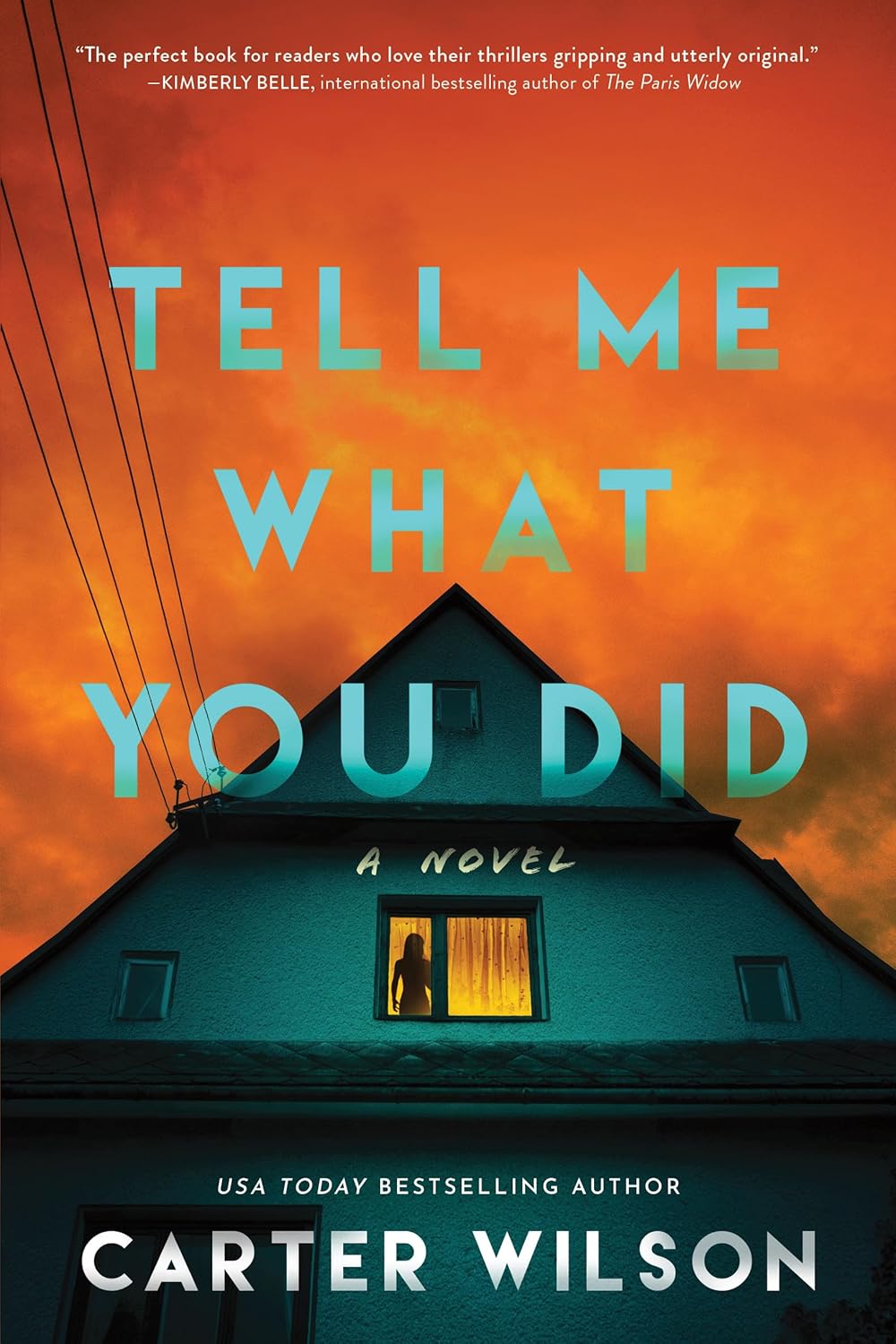 Cover of "Tell Me What You Did," a suspense thriller novel published by Poisoned Pen Press featuring dark, mysterious artwork.