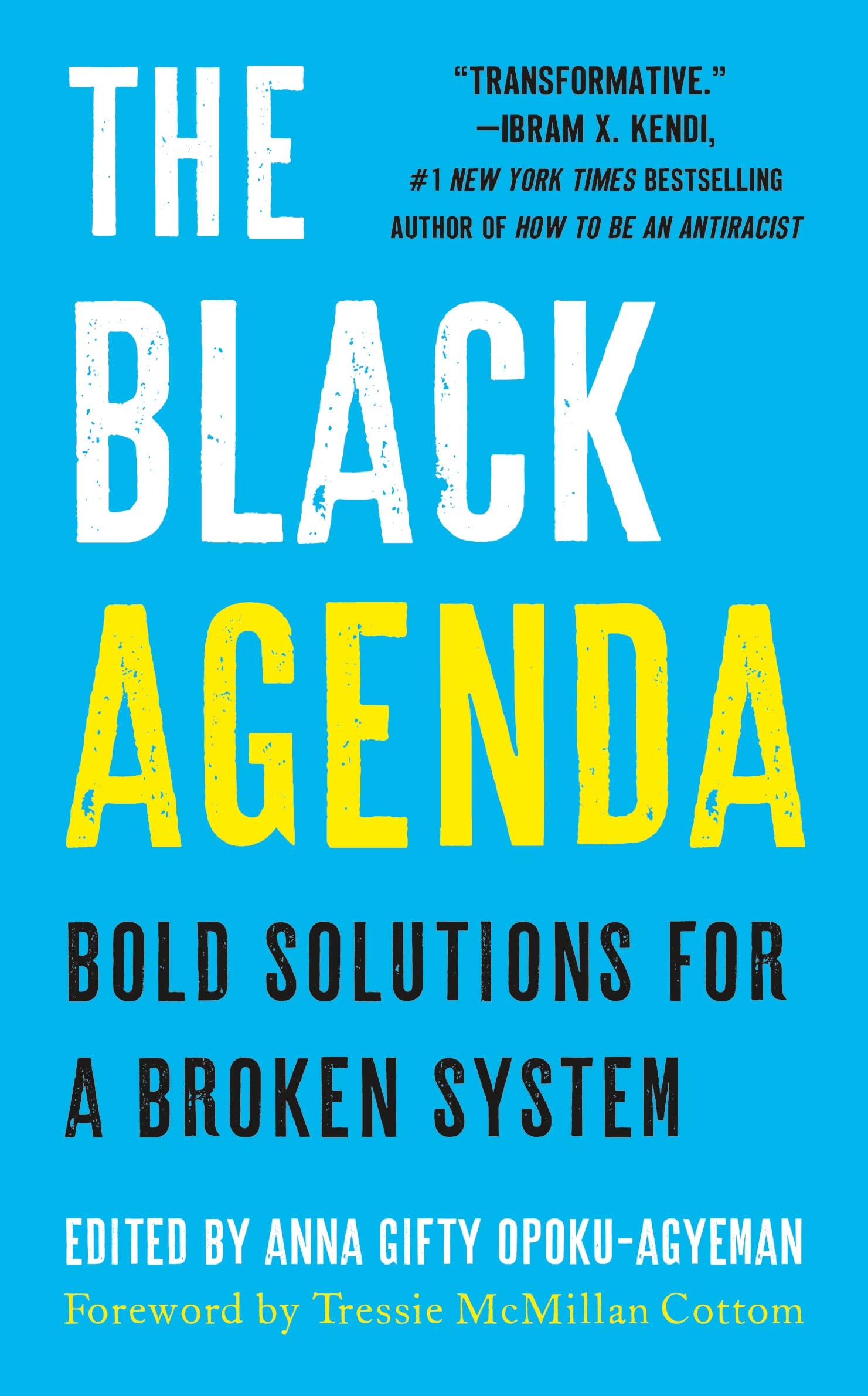The Black Agenda: Bold Solutions for a Broken System SureShot Books