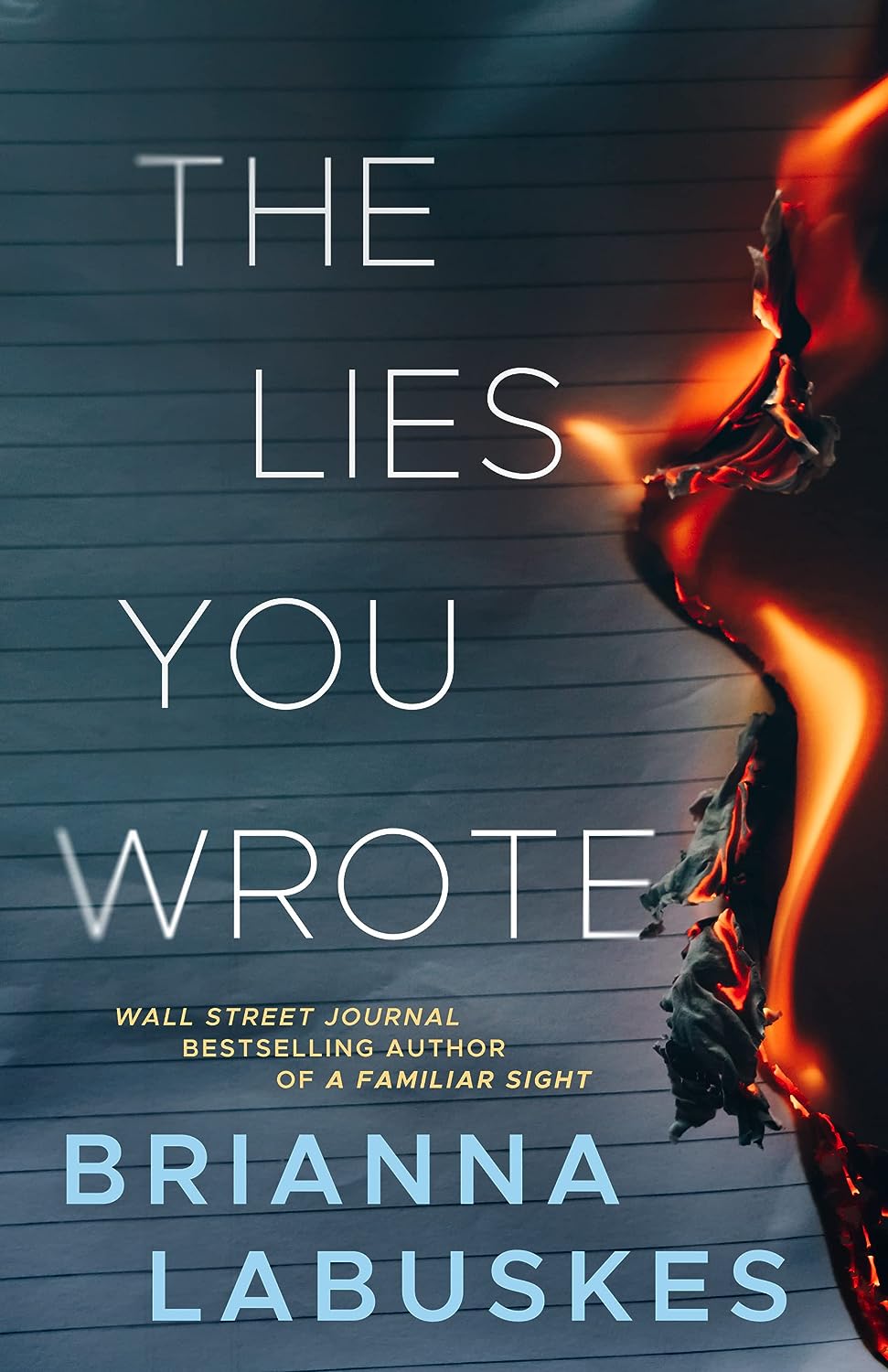 The Lies You Wrote (Raisa Susanto #1) - SureShot Books Publishing LLC