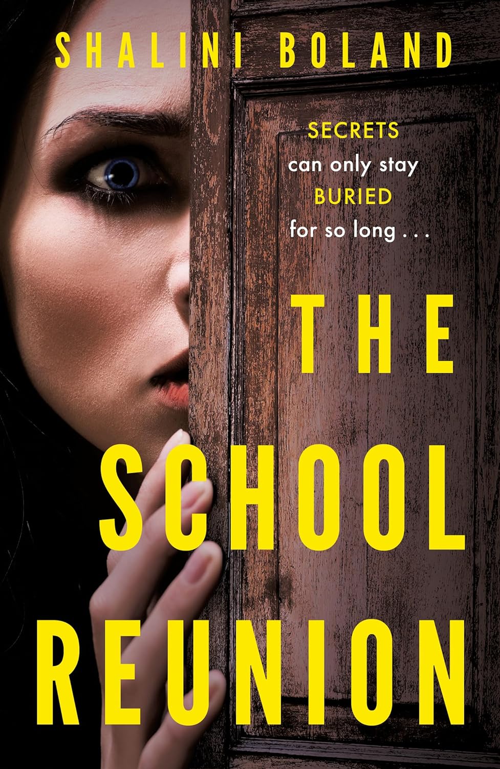 The School Reunion - SureShot Books Publishing LLC