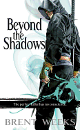 Beyond the Shadows (Night Angel Trilogy #3)