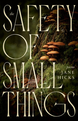 The Safety of Small Things: Poems Paperback Fireside Industries