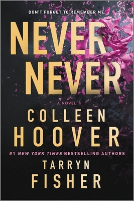 Paperback of Never Never romantic suspense novel by Canary Street Press, showing the book cover with title and artwork.