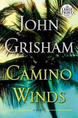 Paperback of "Camino Winds" by Diversified Publishing, featuring a cover image with atmospheric artwork and title text.