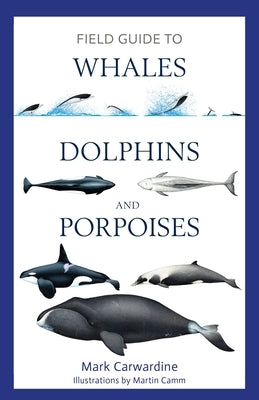 Paperback Field Guide to Whales, Dolphins, and Porpoises by Bloomsbury Wildlife, featuring colorful illustrations of marine mammals.