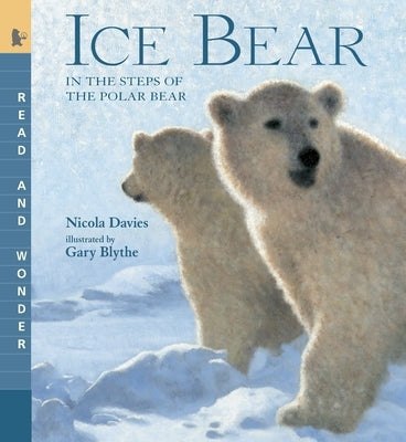 Ice Bear: In the Steps of the Polar Bear: Read and Wonder Paperback Candlewick Press (MA)