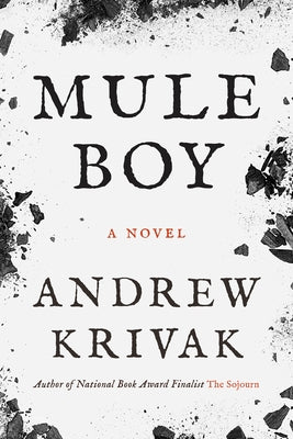 Paperback of Mule Boy by Bellevue Literary Press, featuring the book cover with title and author details.