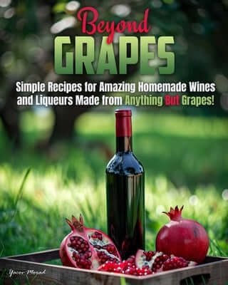 Beyond Grapes: How to Make Wine Out of Anything But Grapes Paperback Library Tales Publishing
