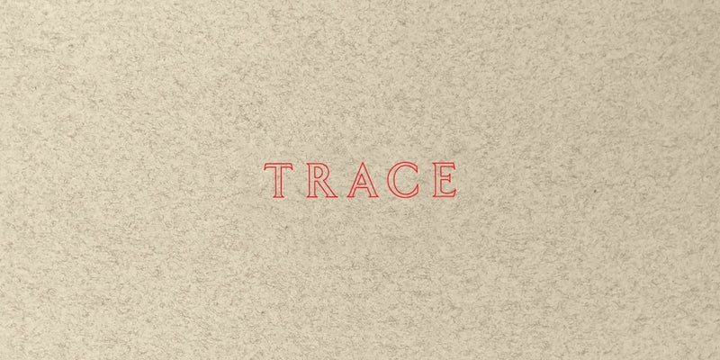 Paperback book titled "Jenny Holzer: Trace" by Guggenheim Museum featuring cover art with abstract design and text elements.