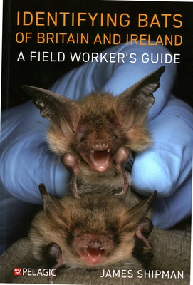 Identifying Bats of Britain and Ireland: A Field Worker's Guide Paperback Pelagic Publishing Ltd