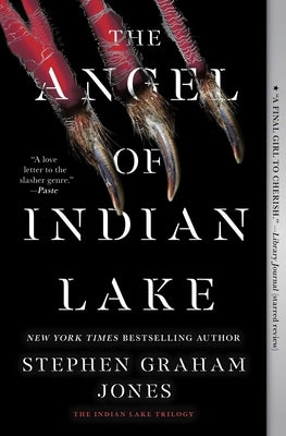 Paperback copy of The Angel of Indian Lake by S&s/Saga Press, featuring the book cover with angelic and lake scene artwork.
