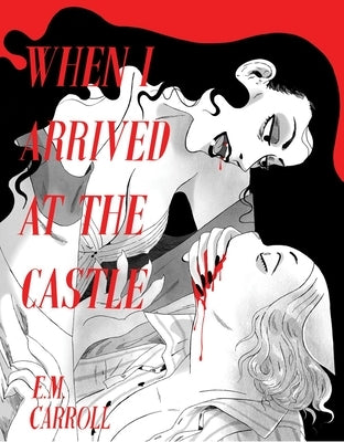 Paperback of "When I Arrived at the Castle" by Silver Sprocket, featuring a colorful cover illustration.