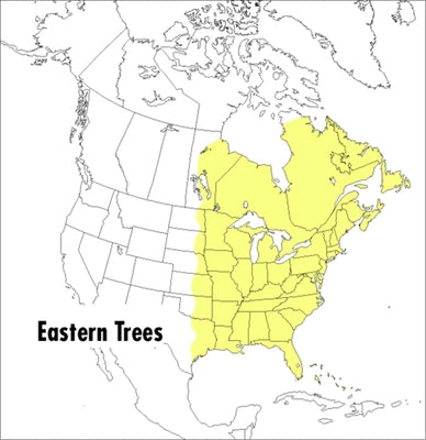A Peterson Field Guide to Eastern Trees: Eastern United States and Canada, Including the Midwest Paperback Mariner Books