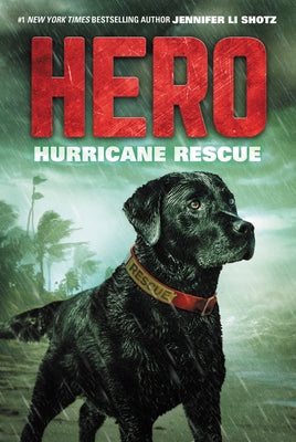Hero: Hurricane Rescue Paperback HarperCollins