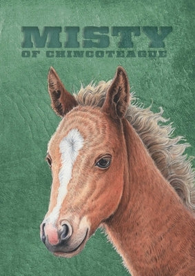 Paperback of Misty of Chincoteague: Special Edition by Aladdin Paperbacks, featuring the book cover with colorful ocean and horse illustrations.