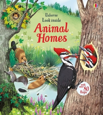 Open page of the Usborne Look Inside Animal Homes board book showing colorful illustrations of various animal habitats.