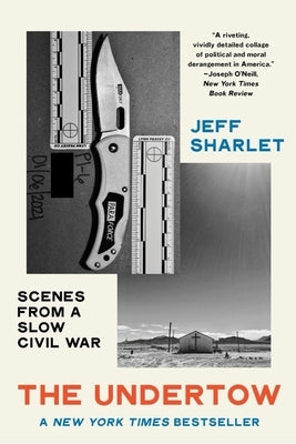 The Undertow: Scenes from a Slow Civil War Paperback W. W. Norton & Company
