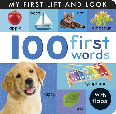 100 First Words: My First Lift and Look (with Flaps) Board Book Tiger Tales
