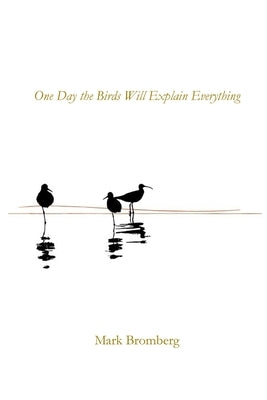 One Day the Birds Will Explain Everything by Bromberg, Mark